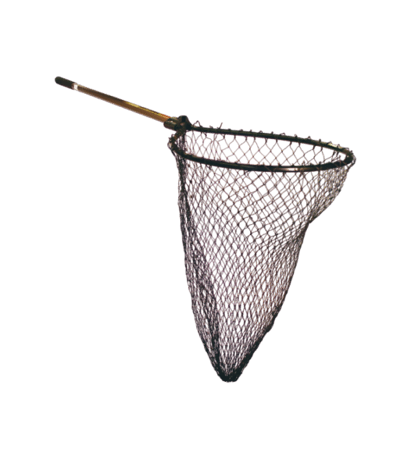 Fishing Baits & Lures