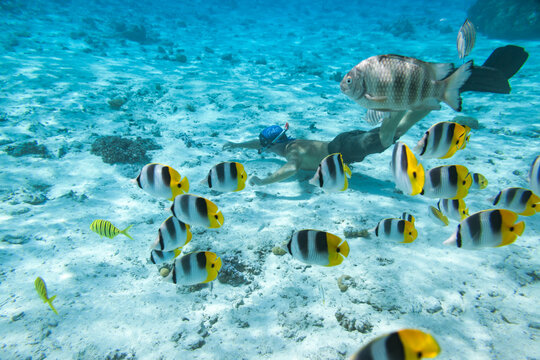 fishes9