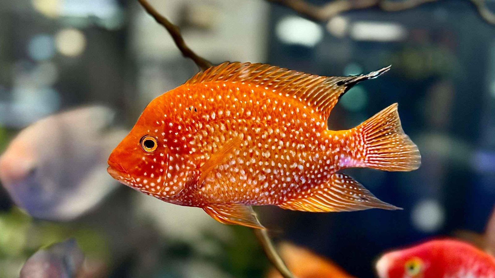 589210098_1625386535113629_5588736522507724711_n_11zon 589210098_1625386535113629_5588736522507724711_n_11zon